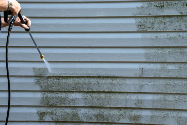 Best Construction Debris Removal  in Rich Hill, MO